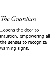  SHAMIRA The Guardian …opens the door to intuition, empowering all the senses to recognize warning signs. 